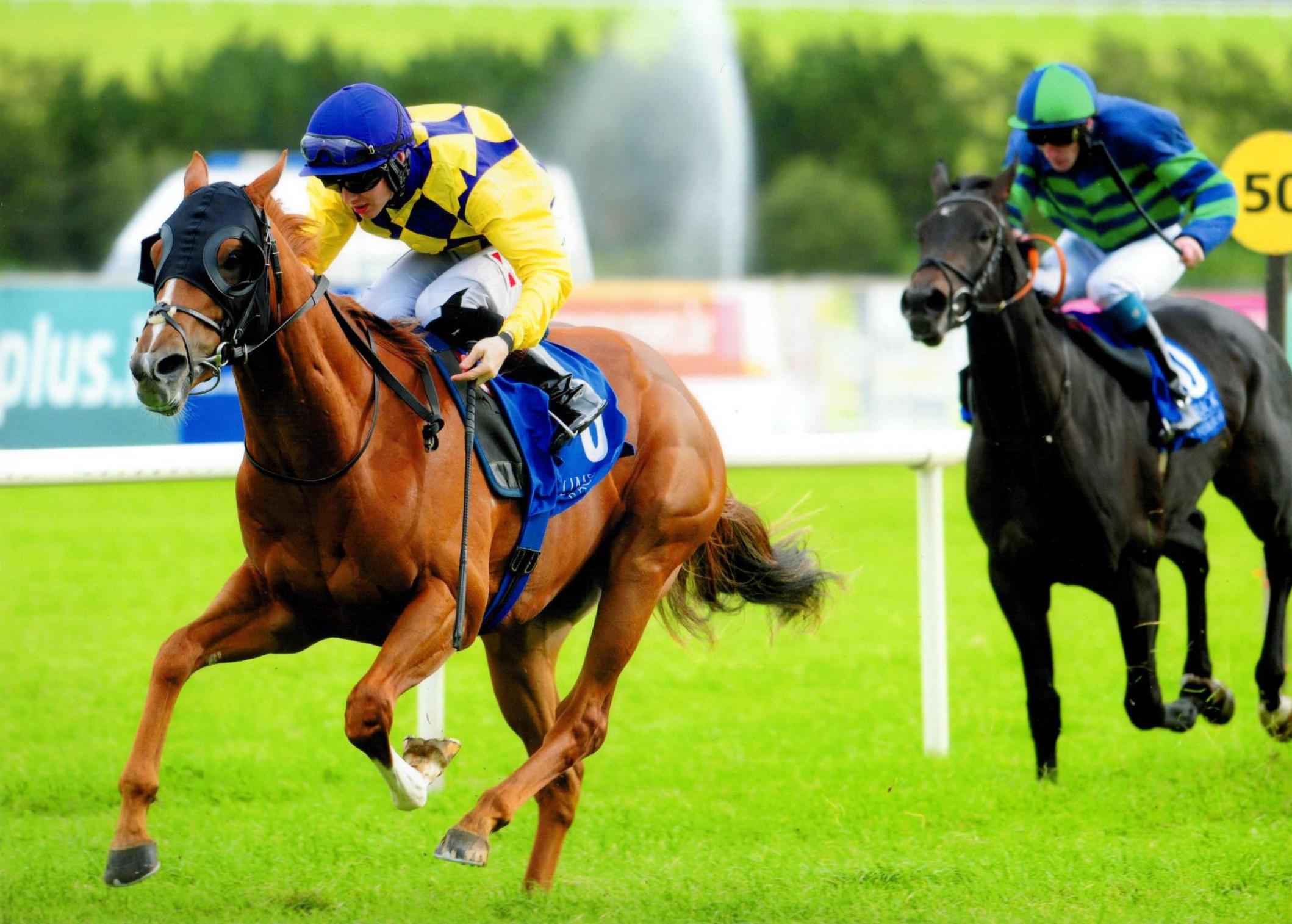 HANSIAN PRINCE provides owner Vincent Gaul with a winner at Limerick 3rd October 2016